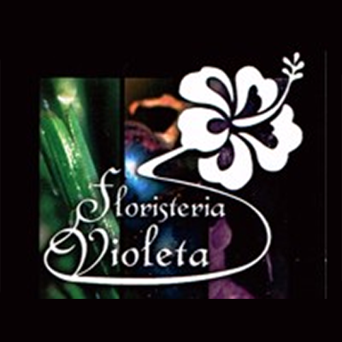 Flores Violeta – Your Source for Wedding Bouquets and Exotic Plants